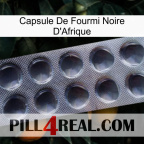 Africa Black Ant Capsule 30